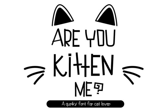 Are You Kitten Me: The Quirky Display Font for Joyful Web Designs