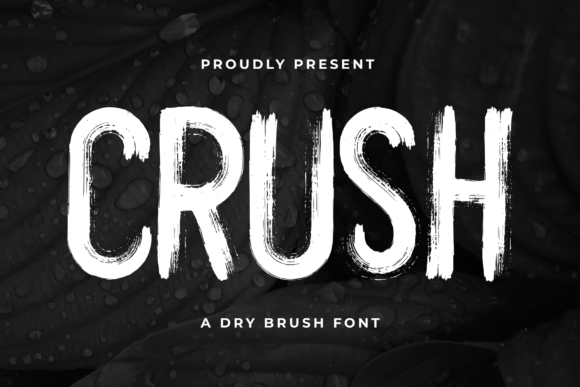 Crush Font: Bold Brush Display Typeface for Editorial Design