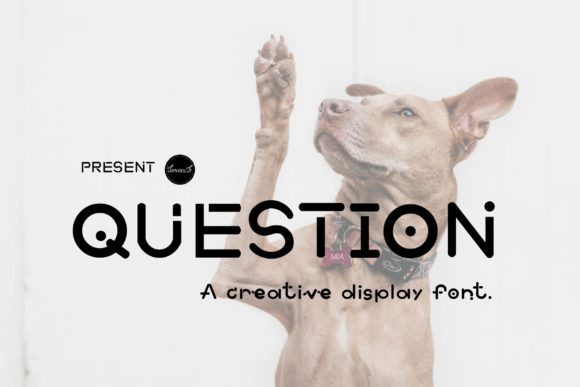 Question: A Playful Display Font for Bold Brand Identity